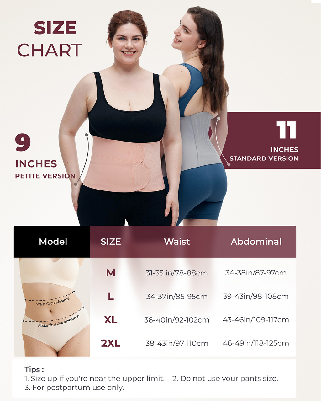 Momcozy Ergowrap Postpartum Belly Band size chart: measurements for Petite & Standard postpartum support bands