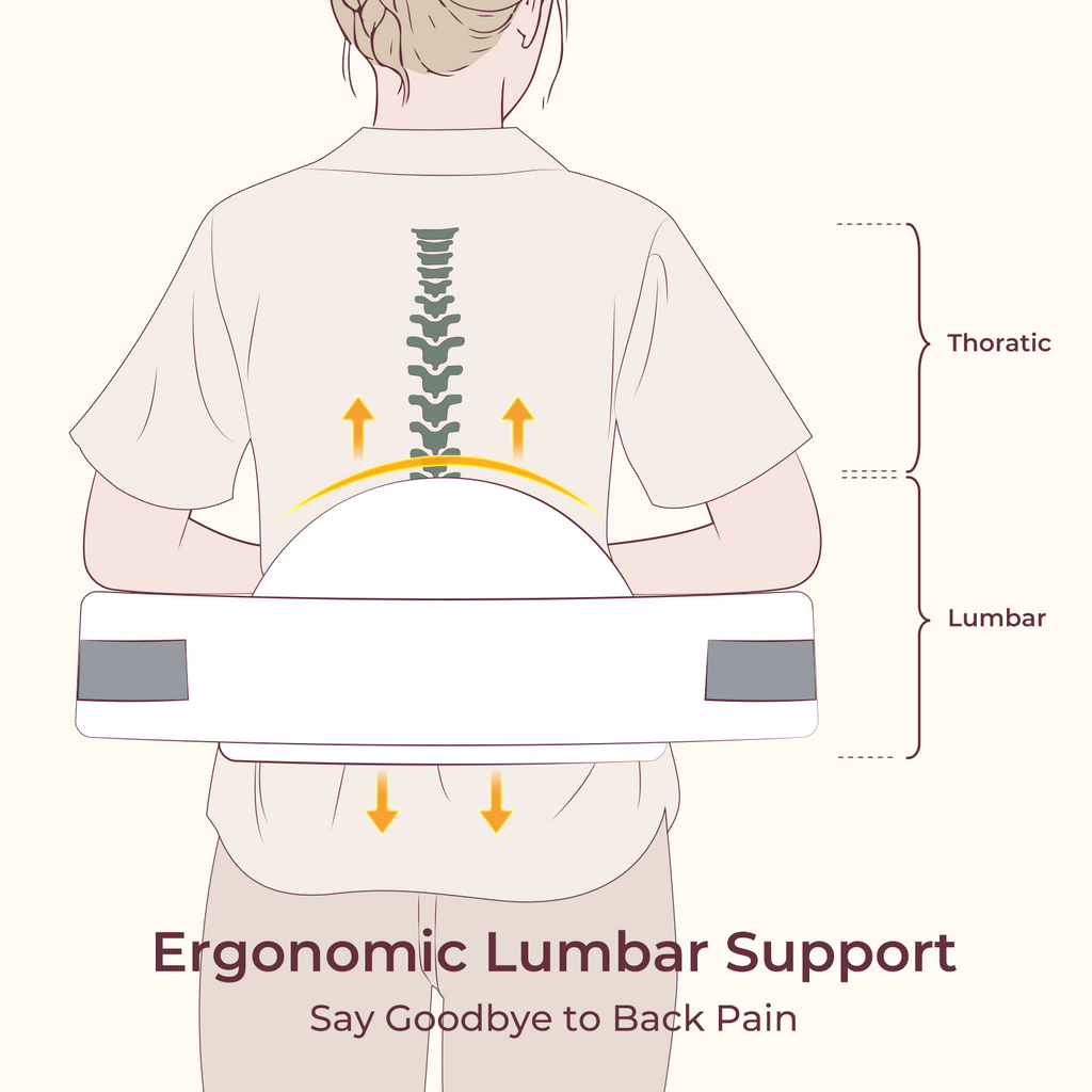 Ergonomic Lumbar Support diagram showing spine alignment and back pain relief.