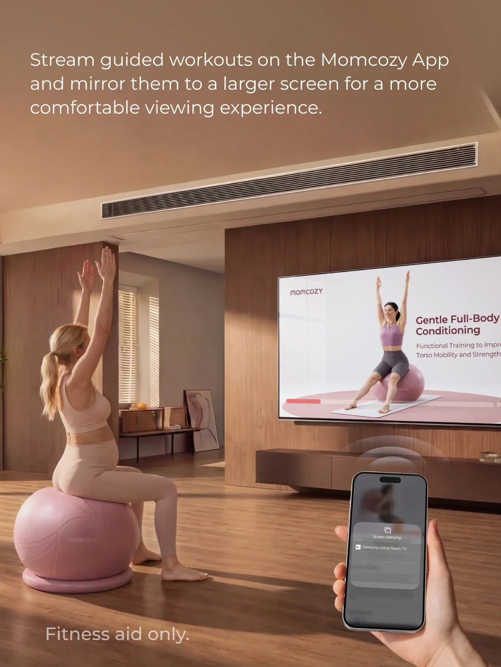 Ergonest Maternity Belly Band & BirthEase Maternity Ball Bundle